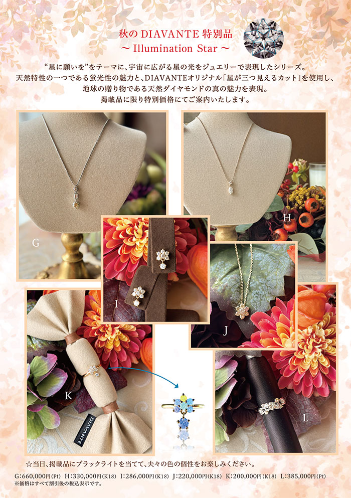 Harvest of Light～自分を讃えて～ パンフレット6ページ目